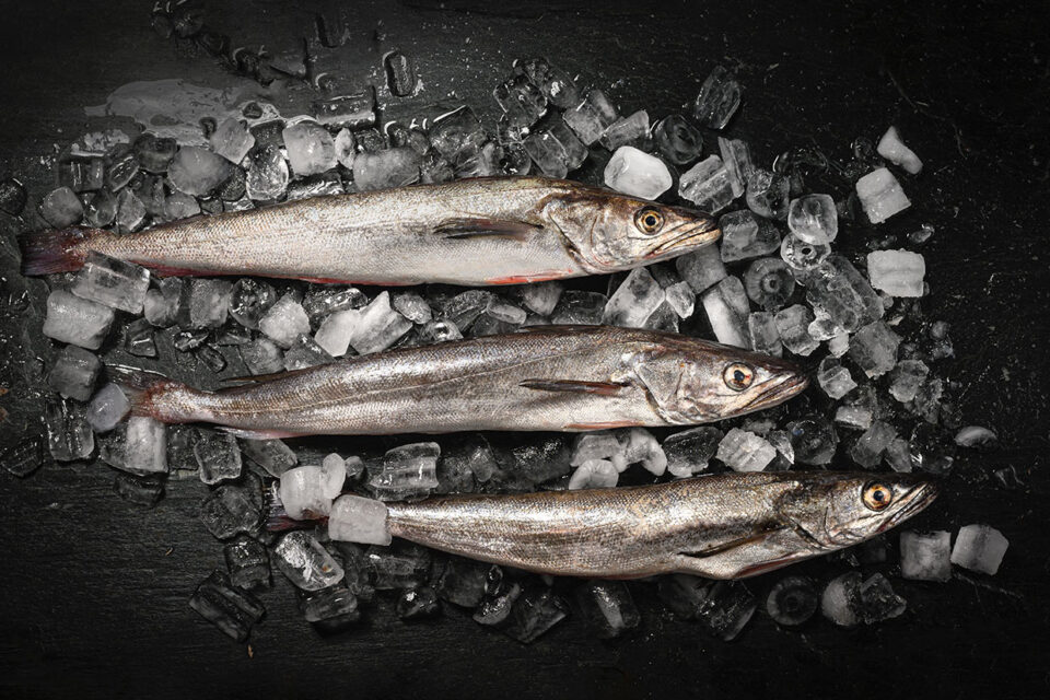 Pescado